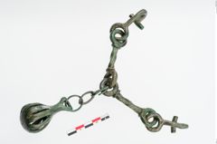 Foto von Bronzetrense (NHMW-PRAE-024293)